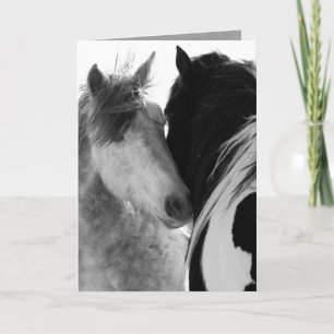 Twee hengsten Wild Horse Wenskaart Kaart