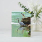 Twee Herons in de rivier Briefkaart (Staand voorkant)
