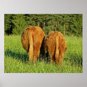 Twee hoerspots in Opper-Oostenrijk Poster