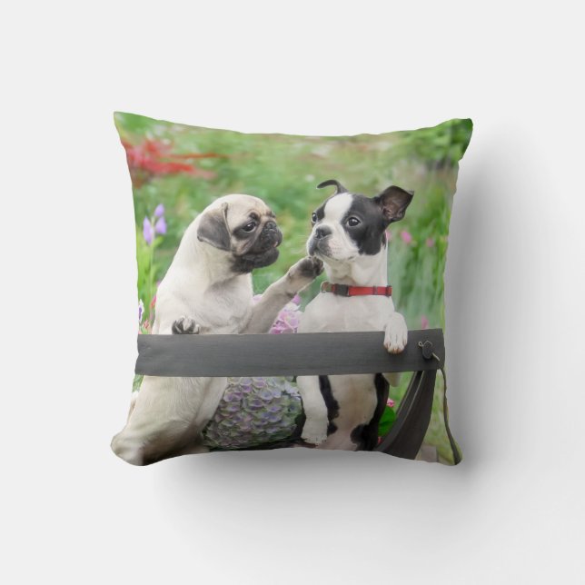 Twee honden een pug puppy en Boston Terrier in een Kussen (Voorkant)