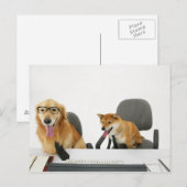Twee honden met een stropdas en een bril, zittend briefkaart (Voorkant / Achterkant)