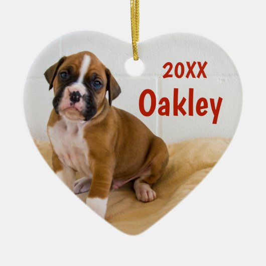 Twee honden met tweekleurige kersthondenversiering keramisch ornament (Voorkant)