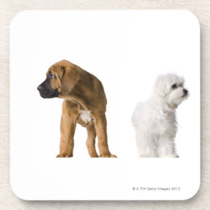 Twee honden onderzetter
