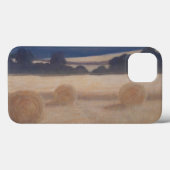Twee Hooibalen 2012 2 Case-Mate iPhone Case (Achterkant (horizontaal))