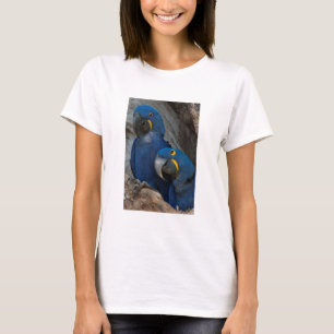 Twee Hyacinth Macaws, Brazilië T-shirt