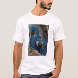 Twee Hyacinth Macaws, Brazilië T-shirt