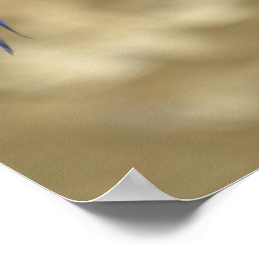 Twee hyacinth macaws poster (Hoek)