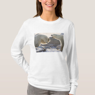 Twee ijsberen t-shirt