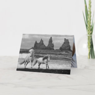 Twee IJslandse paarden Leap Horse Wenskaart Kaart