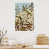 Twee  illustraties van Lizards Poster (Keuken)
