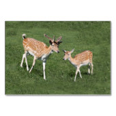 Twee jonge herten kaart (Voorkant)