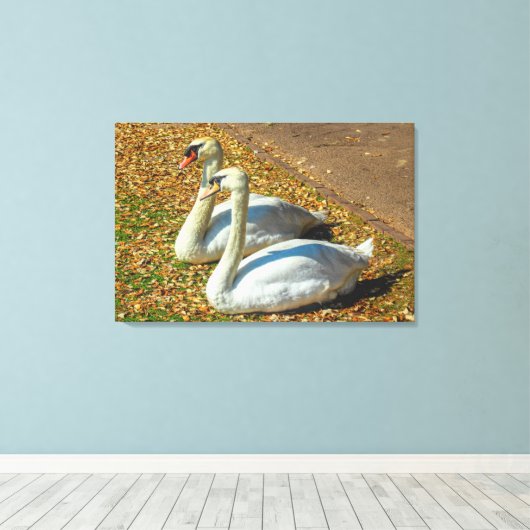 Twee jonge zwanen in het najaar canvas afdruk (Insitu (Houten vloer))