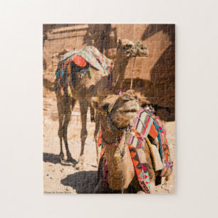 Twee kamelen Egypte Legpuzzel