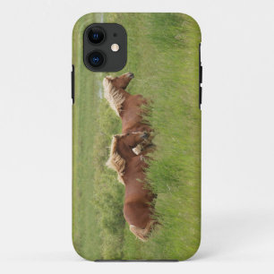 Twee kanterende palominepaarden in een veldfoto iPhone 11 hoesje