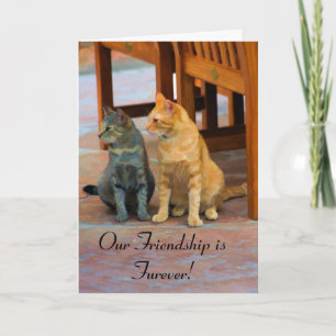 Twee katten feestdagen kaart