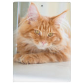 Twee katten foto klembord (Achterkant)