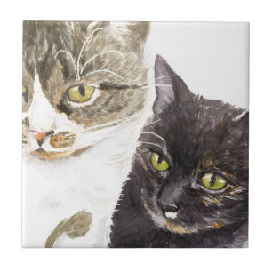 Twee katten - gestreept en schildpad tegeltje