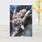 Twee Katten Kaart (Gele Bloem)