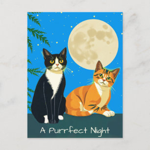 Twee katten onder de volle maan briefkaart