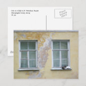 Twee katten op een bergkam in Sint-Petersburg, Rus Briefkaart (Voorkant / Achterkant)