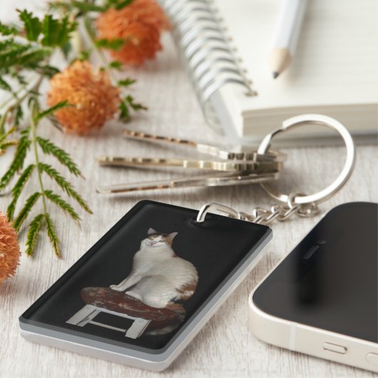 Twee katten sleutelhanger (Voorkant Rechts)