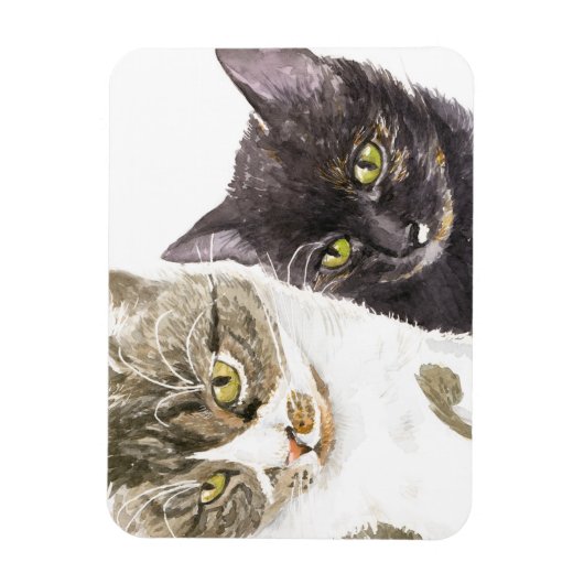 Twee katten - tabby en tortie magneet (Verticaal)