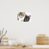 Twee katten - tabby en tortie poster (Keuken)