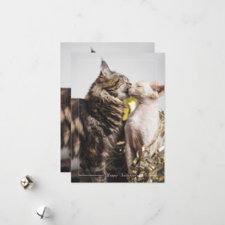 "Twee Katten" Valentijnsdagkaart Feestdagenkaart