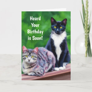Twee Katten Verjaardag Kunst Kattenliefhebber Pun Feestdagen Kaart
