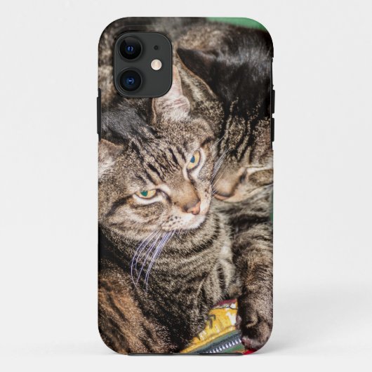 Twee kattensmokkel Case-Mate iPhone case (Achterkant)