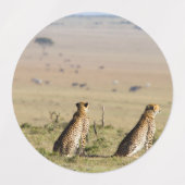 Twee kazen op de uitkijk labels (Design 2)