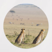 Twee kazen op de uitkijk labels (Design 1)