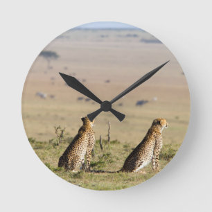 Twee kazen op de uitkijk ronde klok