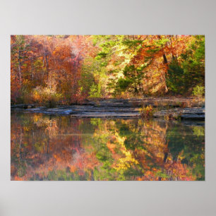 Twee keer de schoonheid poster