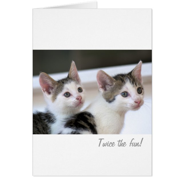 Twee keer het plezier! (Voorkant)