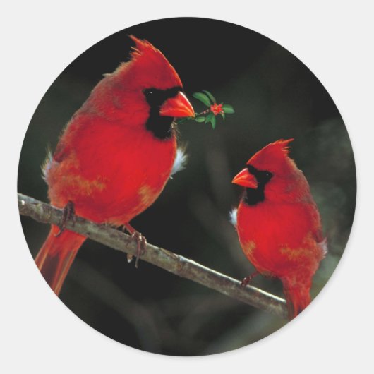 Twee kerstakkers met kerstcadeautjes ronde sticker (Voorkant)