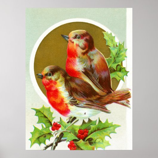 Twee kerstrobins poster (Voorkant)