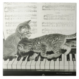 Twee kitten op pianokaart (B&W) Tegeltje