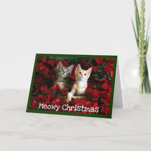 Twee Kittens en Poinsettias Feestdagen Kaart