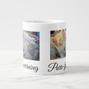 Twee Kittens Foto Voor, Achter Hart Poot, Extra Grote Beker