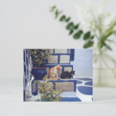 Twee Kittens genieten van de dag Briefkaart (Staand voorkant)