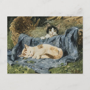 Twee Kittens Julius Adam de Jongere Briefkaart