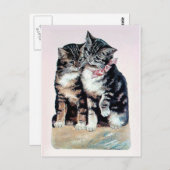 twee kittens katten schattige liefde voor schattig briefkaart (Voorkant / Achterkant)