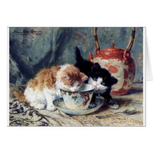 Twee kittens met theefeestje