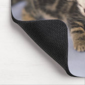 Twee kittens muismat (Hoek)