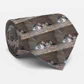 Twee kittens op log stropdas (Opgerold)