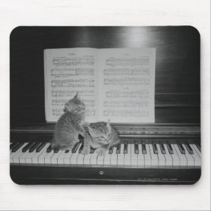 Twee kittens op pianotoetsenbord op papier muismat