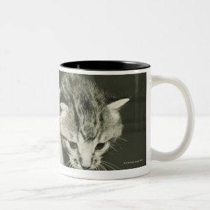 Twee kittens verstopt in vase (B&W) Tweekleurige Koffiemok
