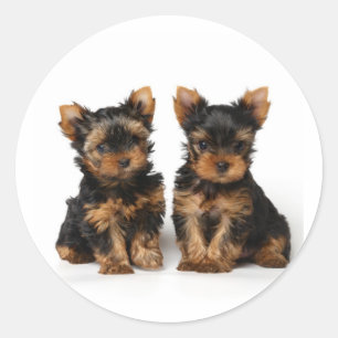 Twee kleine supers ronde sticker