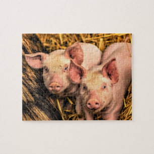 Twee kleine varkens legpuzzel